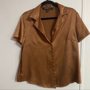 Brown Satin Blouse